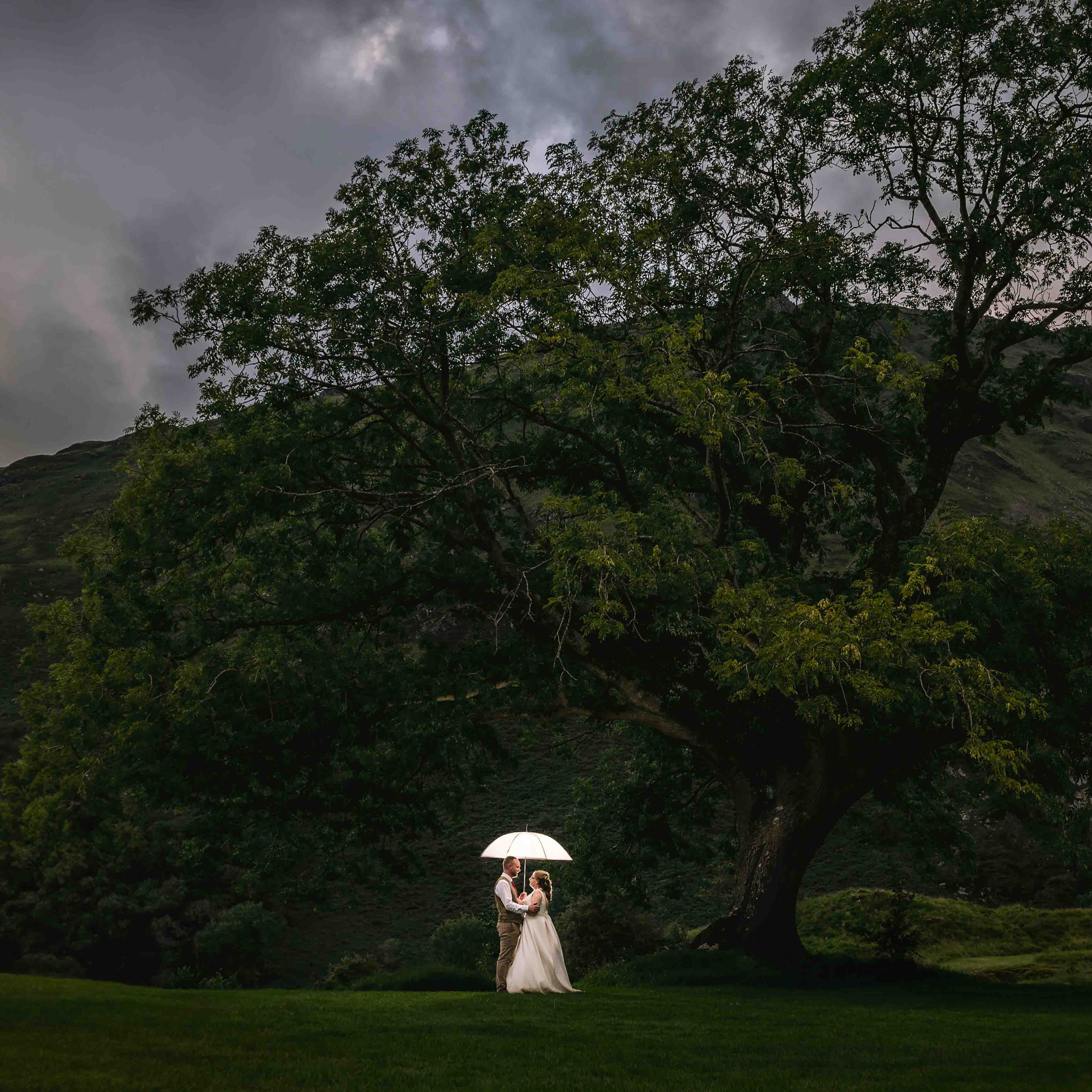 Bride & Groom hold an umbrella under a large tree in Snowdonia North Wales