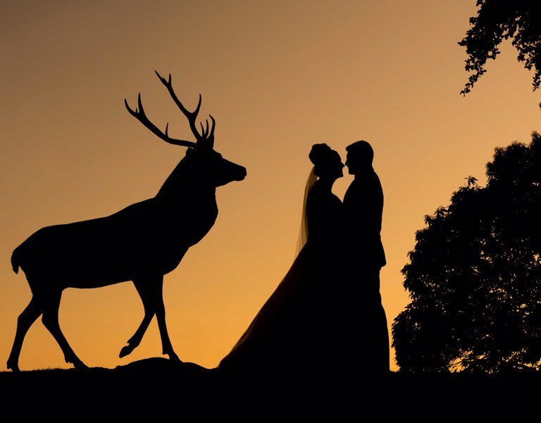 Silhouette of a Bride & Groom holding each other next to a dear statue, during a wedding in North Wales