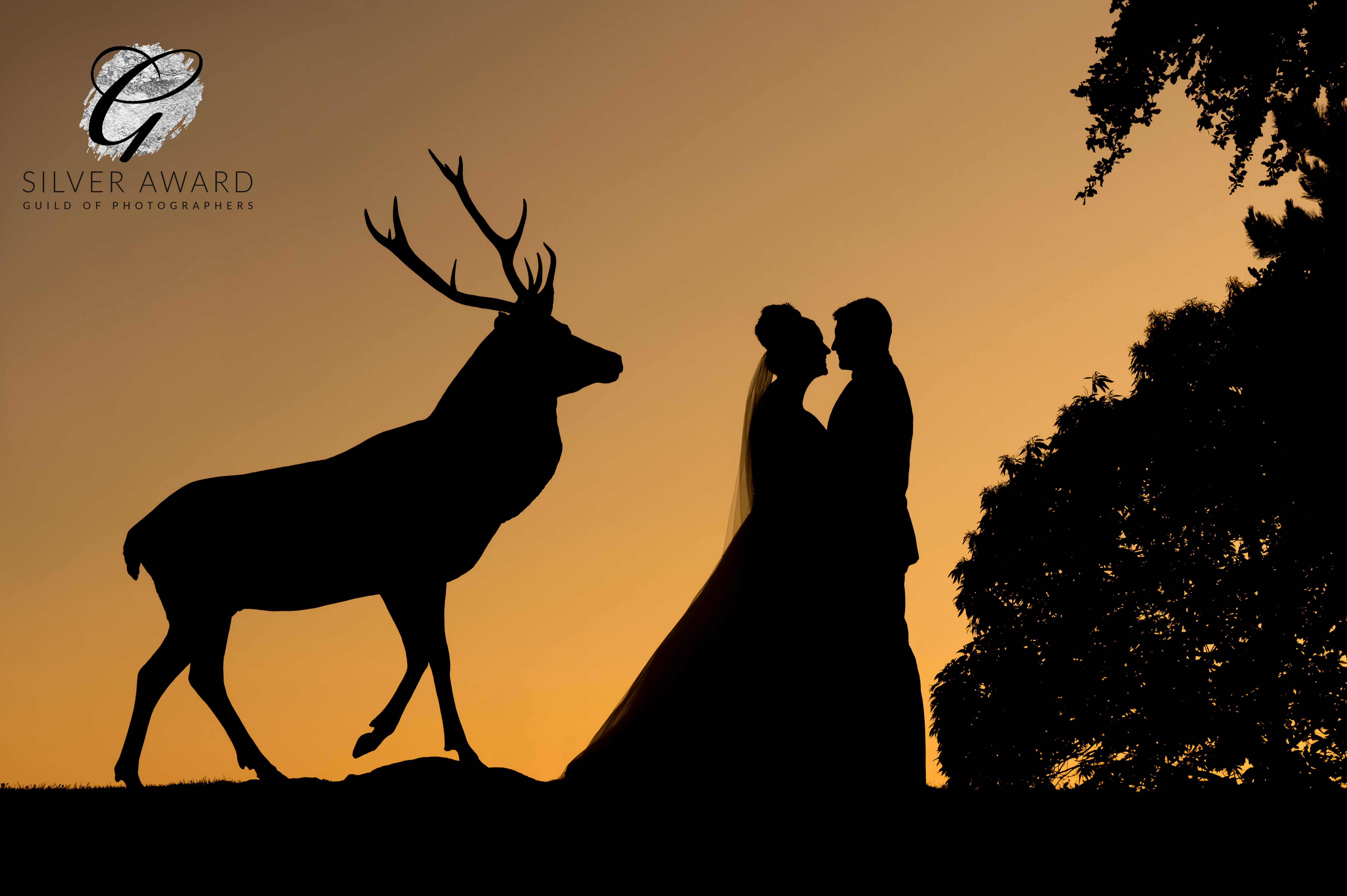 Silver award winning silhouette of Bride & Groom next to deer statue at Wedding Venue